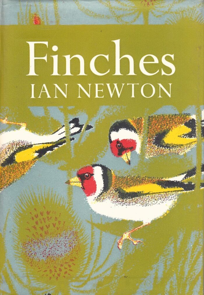 Finches (NN55) Image