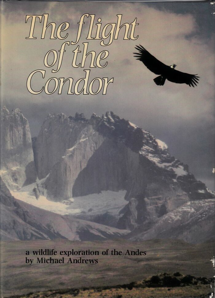 The Flight of the Condor Image
