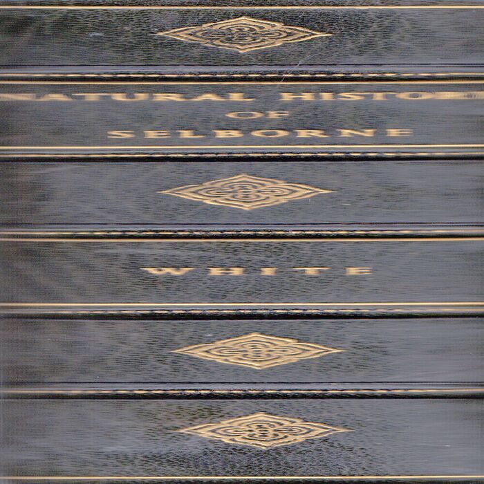 Natural History of Selborne Image