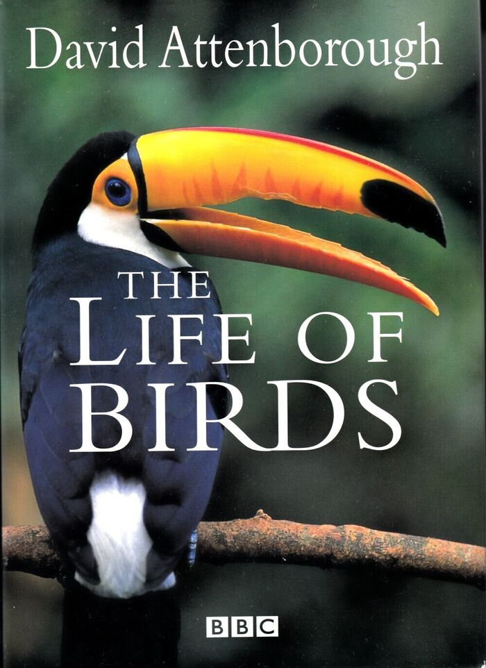 The Life of Birds Image