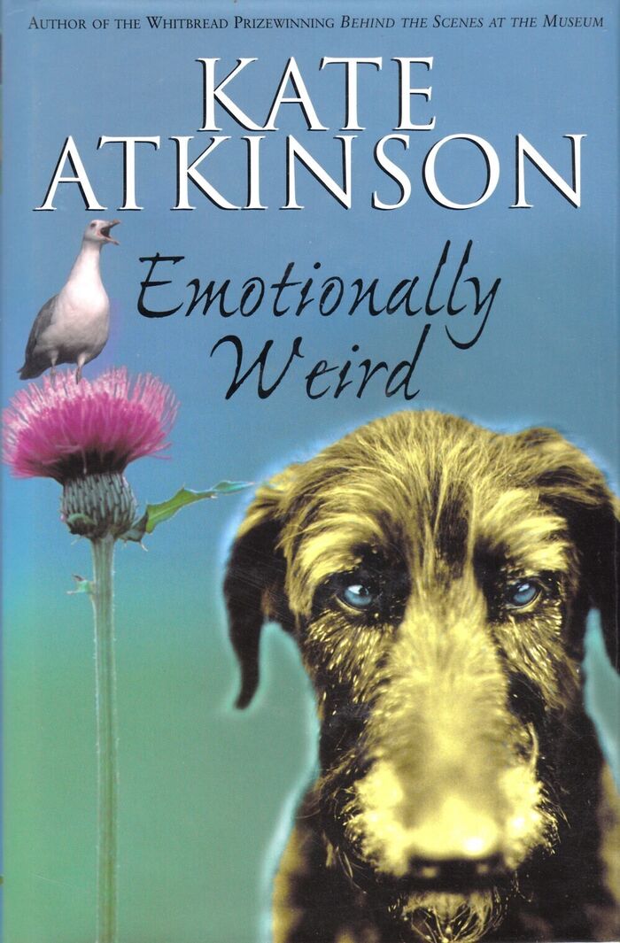 Emotionally Weird Image