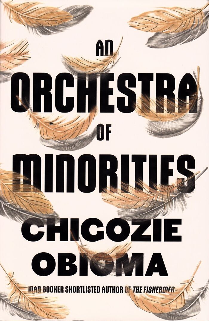An Orchestra of Minorities Image