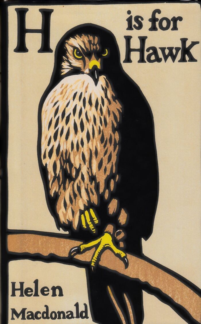H is for Hawk Image
