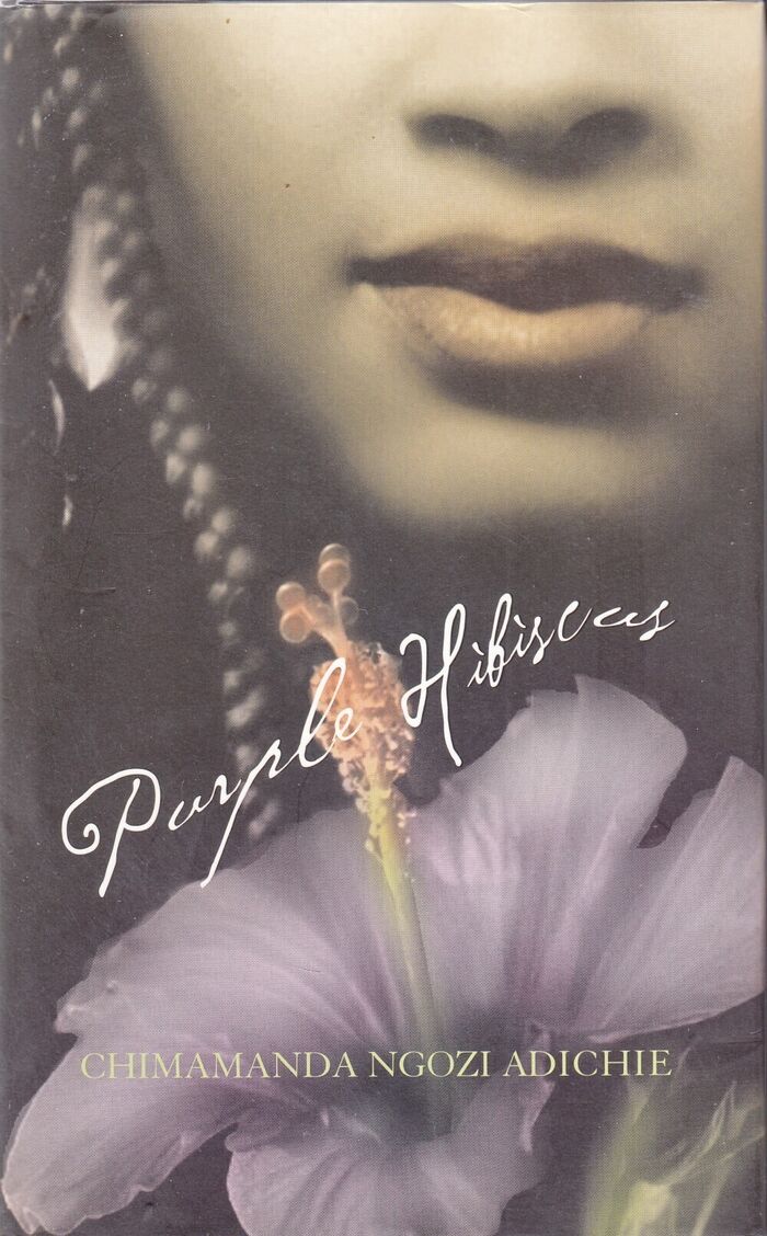 Purple Hibiscus Image