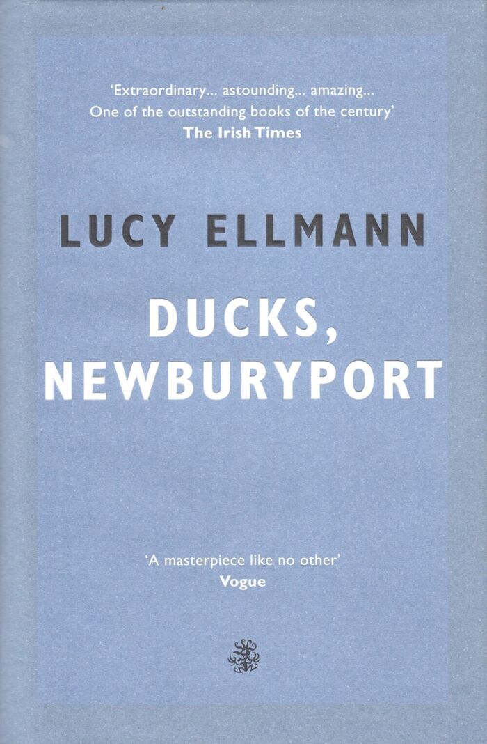 Ducks, Newburyport Image