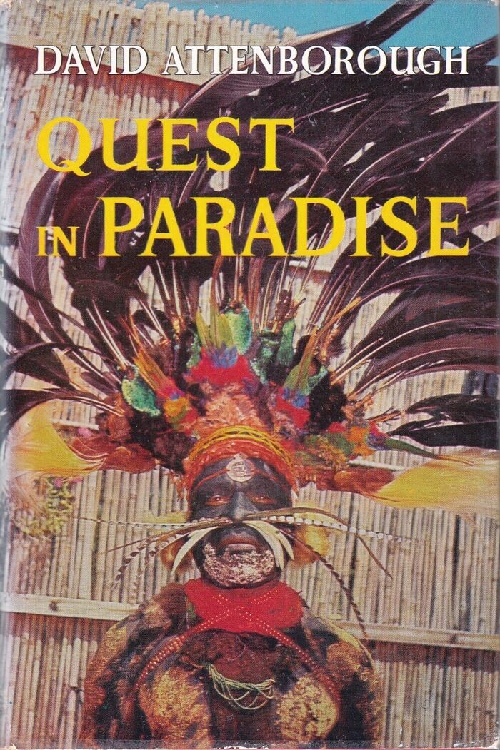Quest in Paradise Image