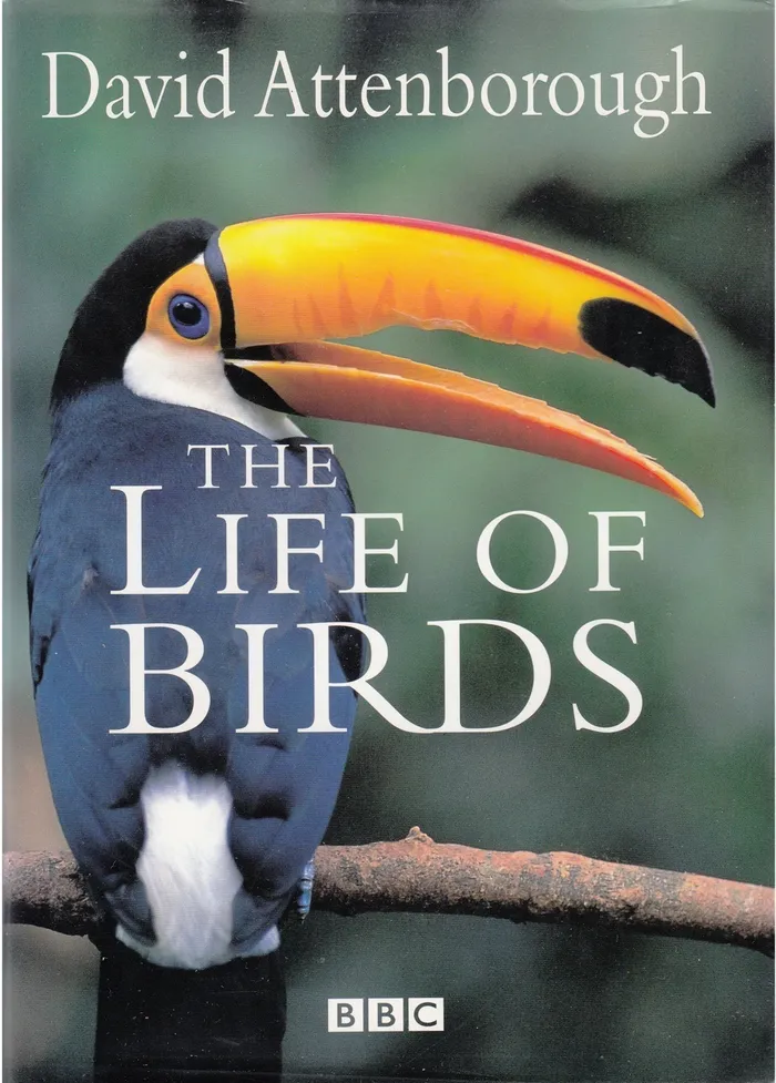 The Life Of Birds Image