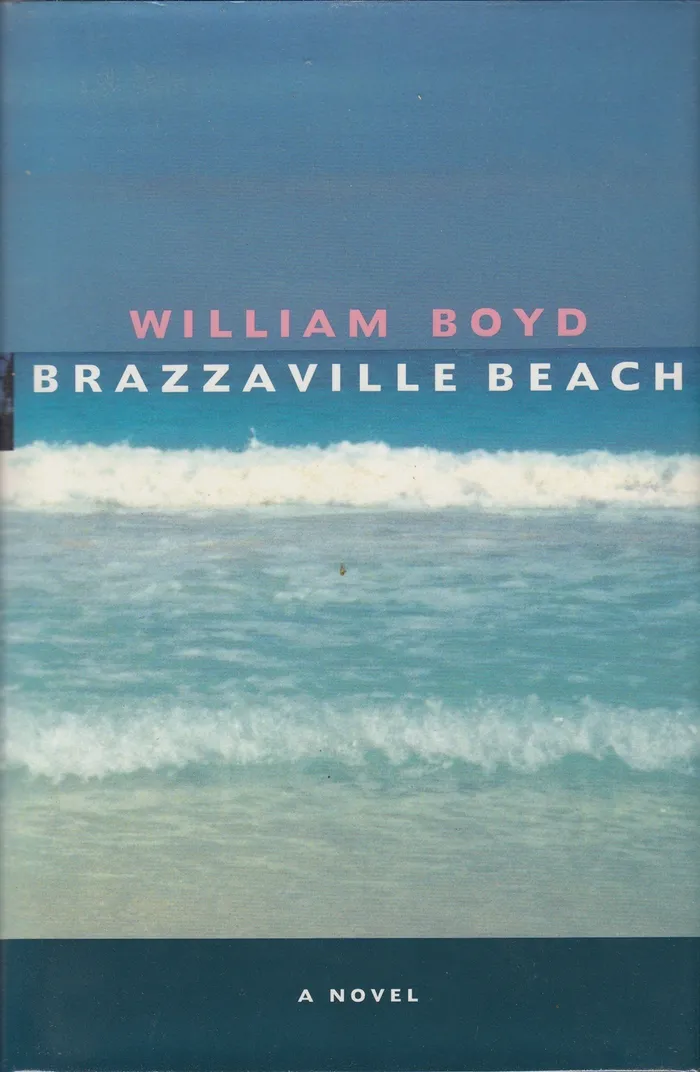 Brazzaville Beach Image