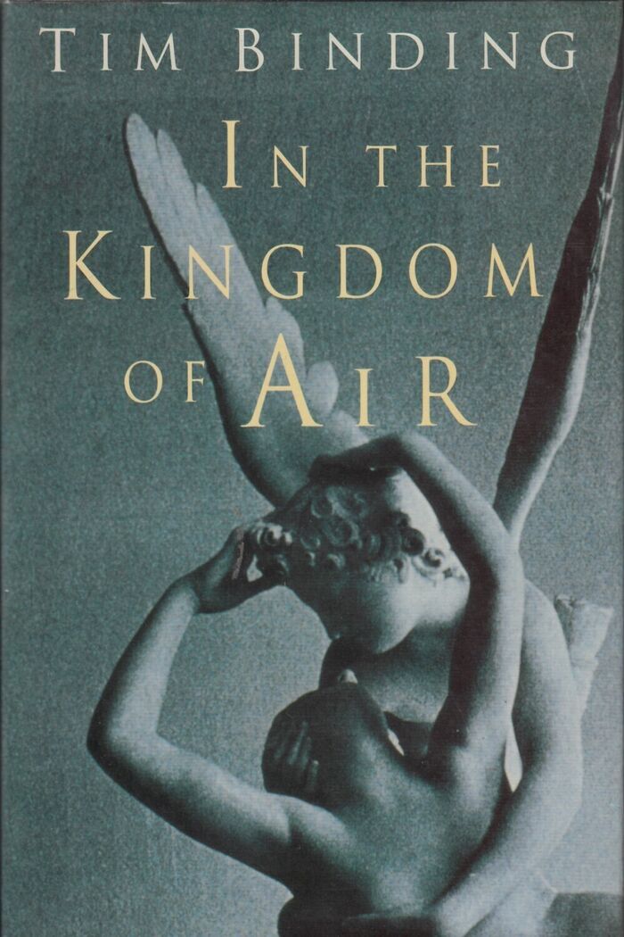 In the Kingdom of the Air Image