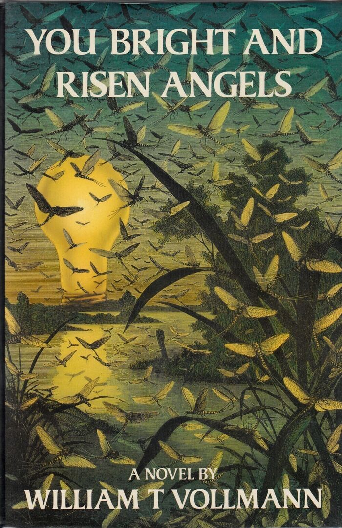 You Bright and Risen Angels Image