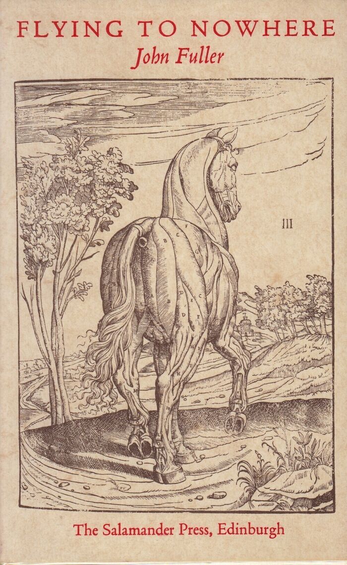 Flying to Nowhere Image