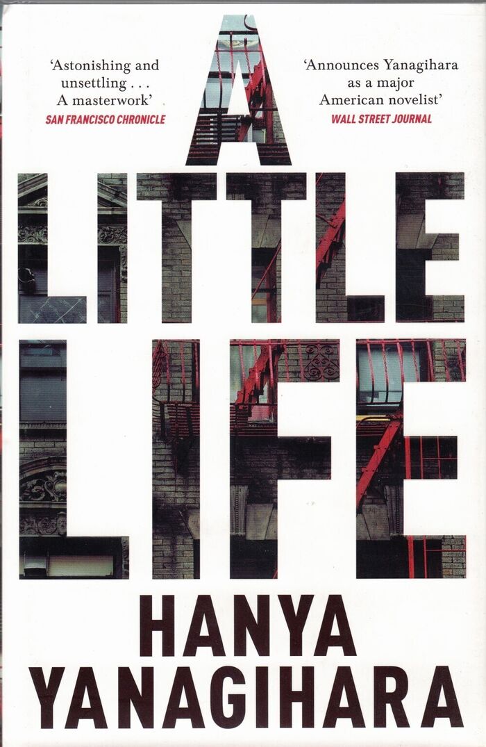 A Little Life Image