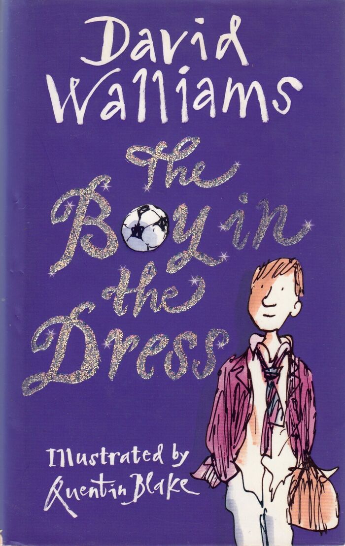 The Boy in the Dress Image
