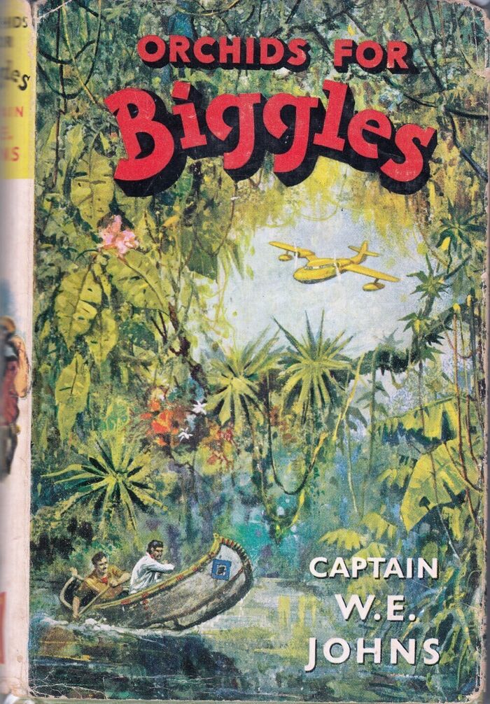 Orchids for Biggles Image