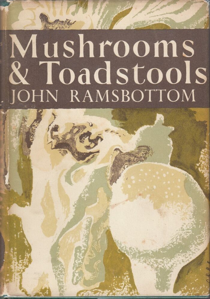 Mushrooms & Toadstools (NN7) Image