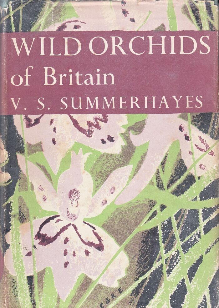 Wild Orchids of Britain (NN19) Image