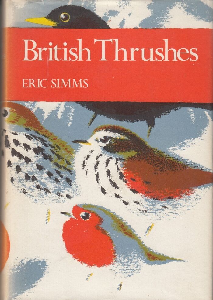 British Thrushes (NN63) Image