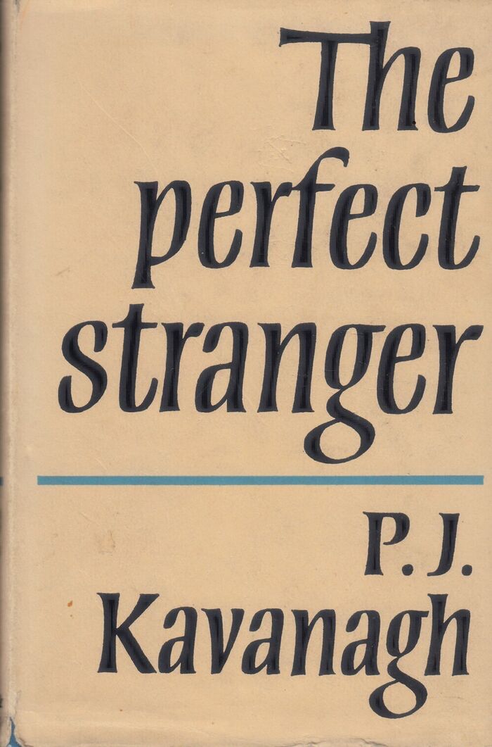 The Perfect Stranger Image