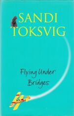 Flying Under Bridges