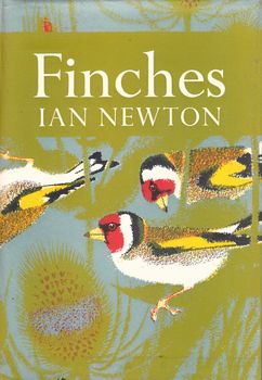 Finches (NN55)
